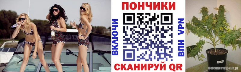 shop как зайти  Коркино  Каннабис LSD WEED  наркота 